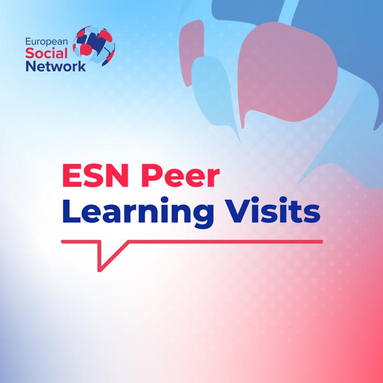 Peer Learning Visits