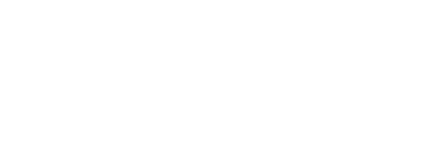 Social Services Network